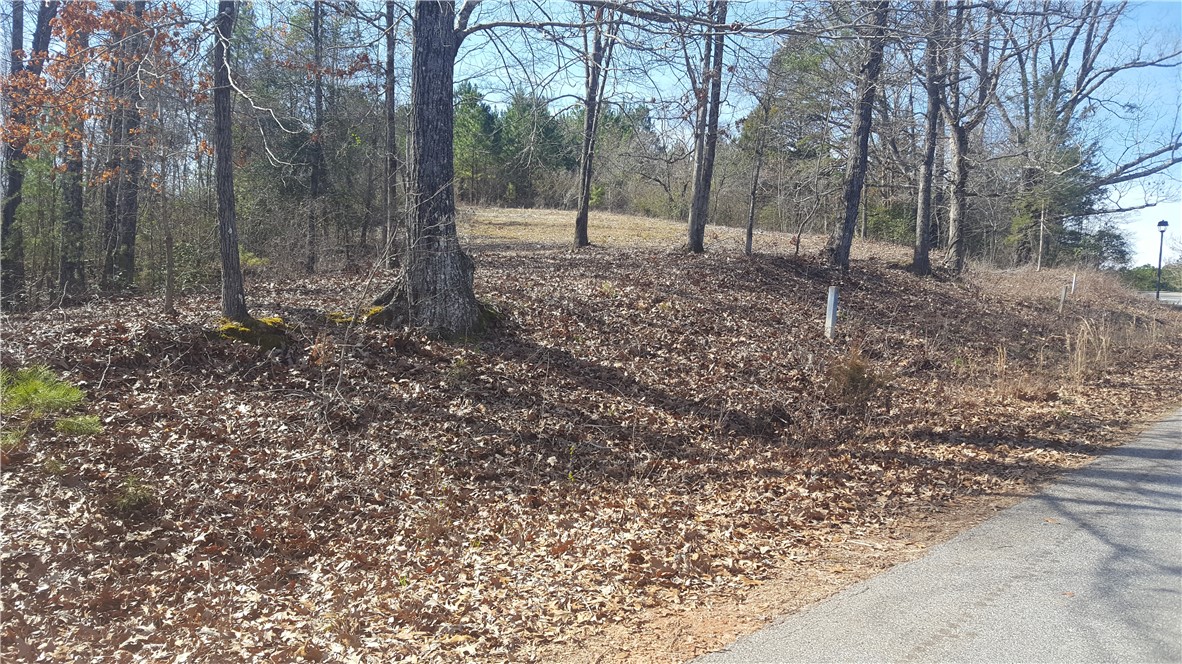 132 Sweetwater View Road, Unit 42 LOT ACREAGE Seneca, SC 29672 - Photo 4 of 9 Gallery Image 4