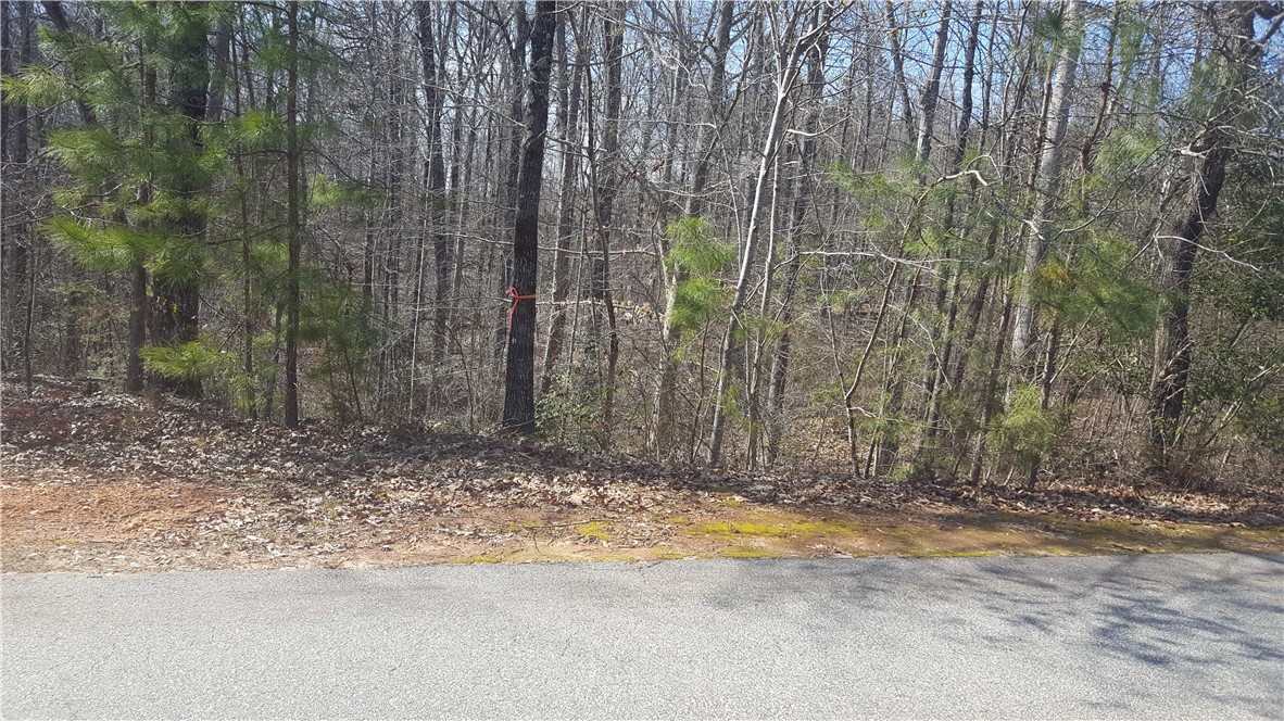 132 Sweetwater View Road, Unit 42 LOT ACREAGE Seneca, SC 29672 - Photo 5 of 9 Gallery Image 5