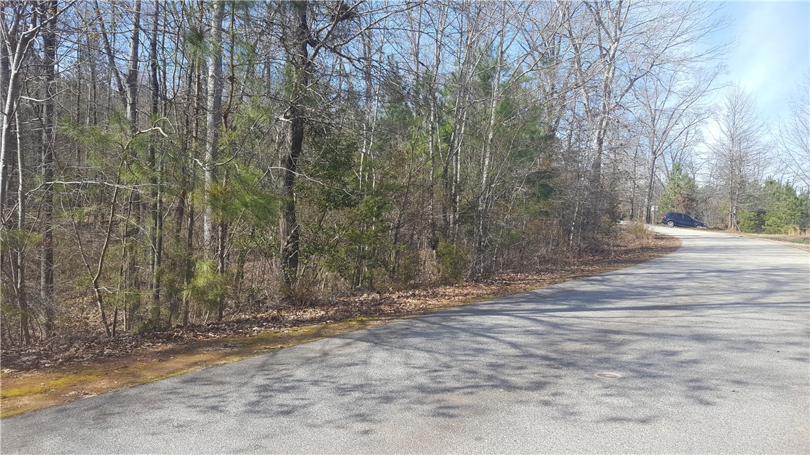 132 Sweetwater View Road, Unit 42 LOT ACREAGE Seneca, SC 29672 - Photo 6 of 9 Gallery Image 6