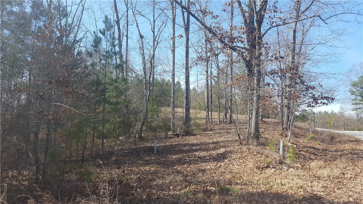132 Sweetwater View Road, Unit 42 LOT ACREAGE Seneca, SC 29672 - Photo 7 of 9 Gallery Image 7