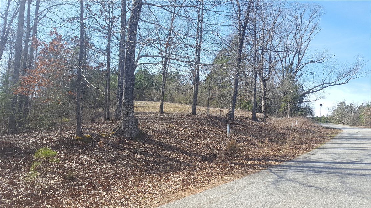 132 Sweetwater View Road, Unit 42 LOT ACREAGE Seneca, SC 29672 - Photo 8 of 9 Gallery Image 8