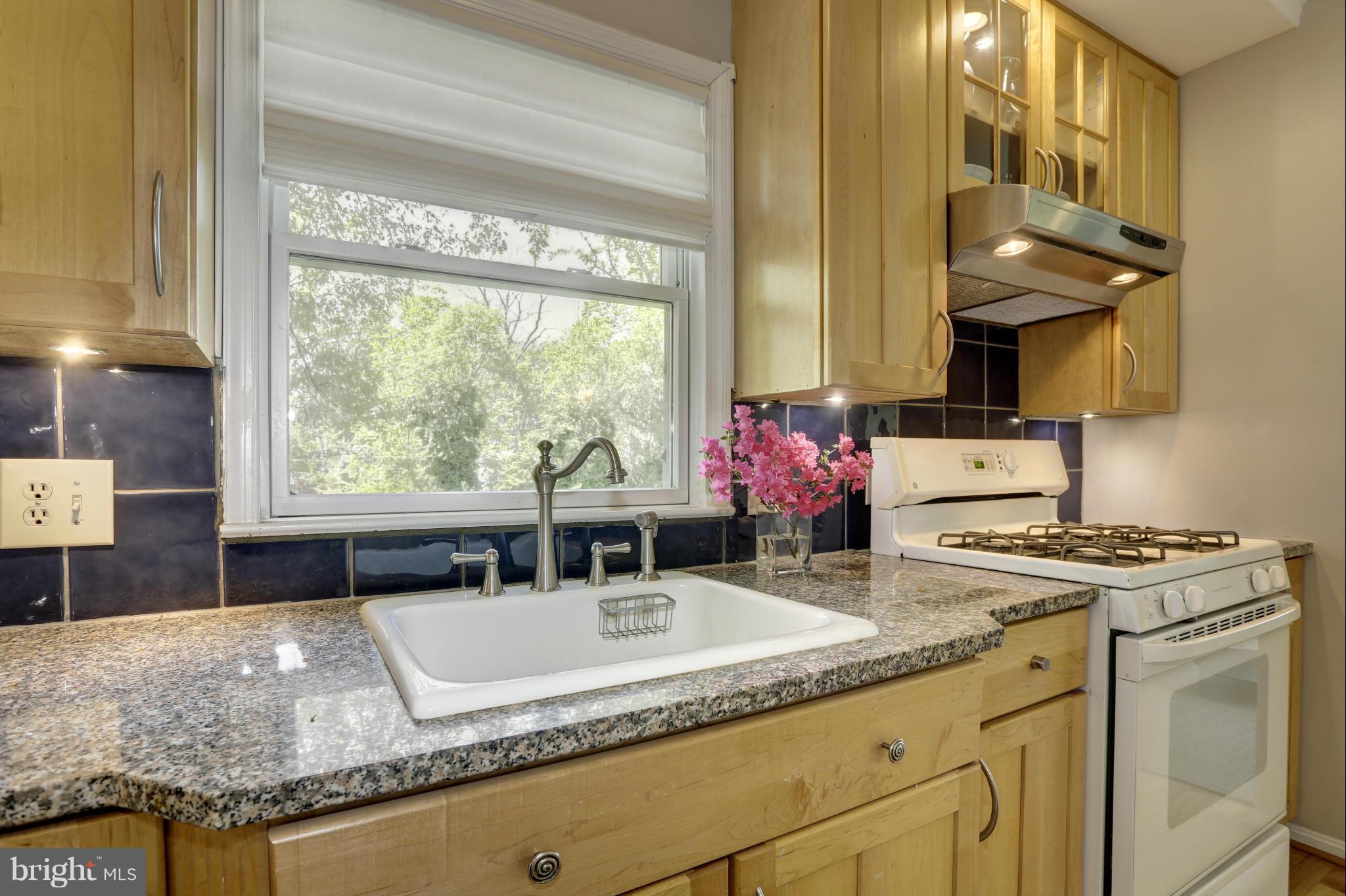 9310 Ocala Street Silver Spring, MD 20901 - Photo 9 of 30 Kitchen