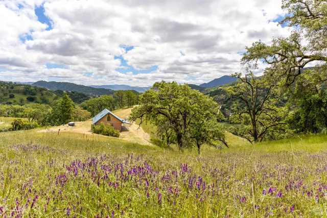a view of empty pool with large trees