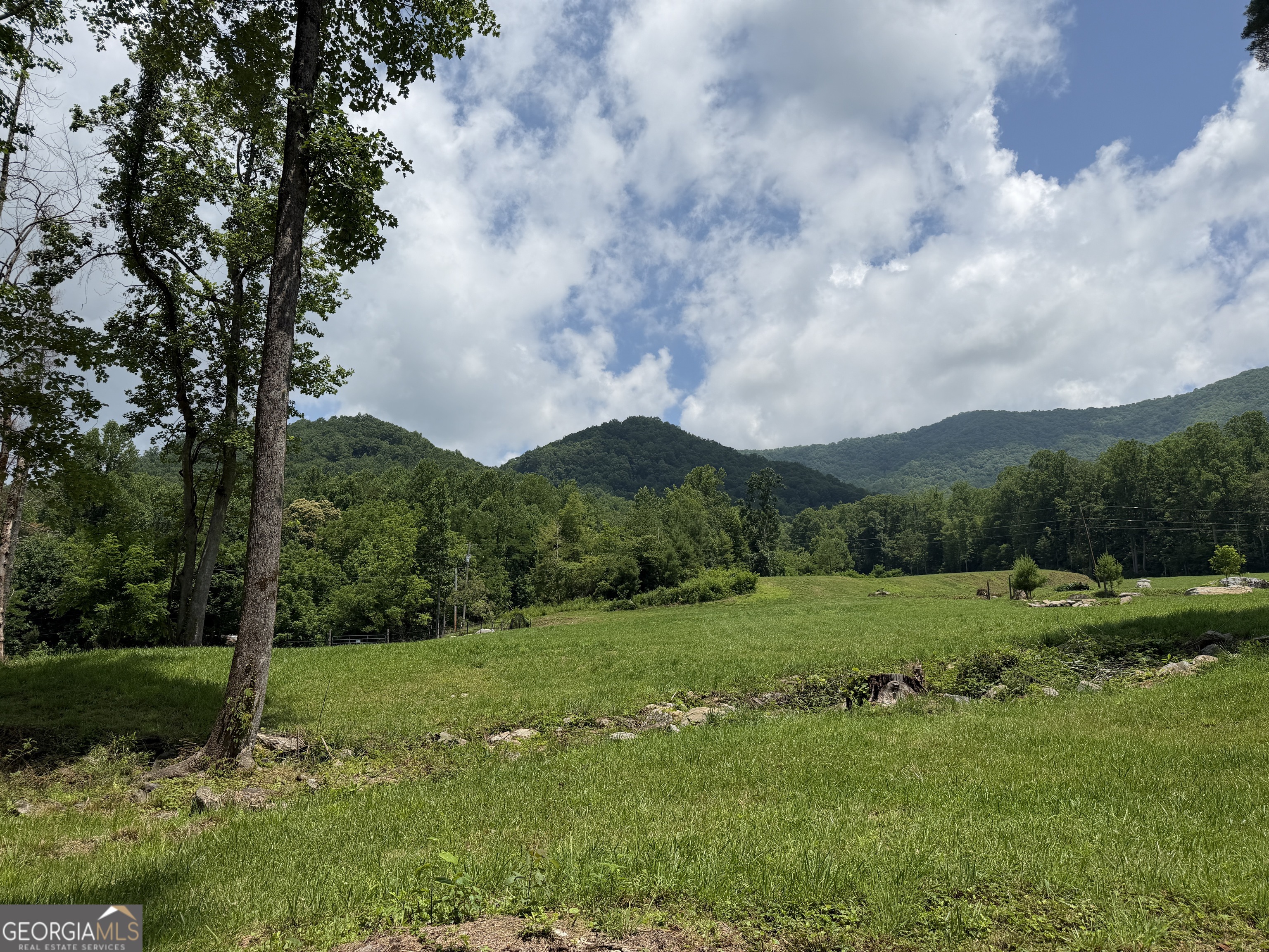 1449 Muskrat Creek Road Hayesville, NC 28904 - Photo 60 of 95