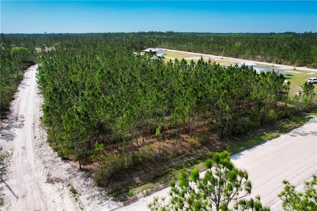0 Elmer Thrift Road Waycross, GA 31503 - Photo 11 of 13 Photo 11