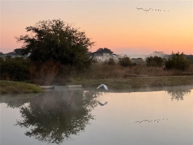 $549,900 | 10559 Bridgegate Hts Loop, San Antonio, FL 33576