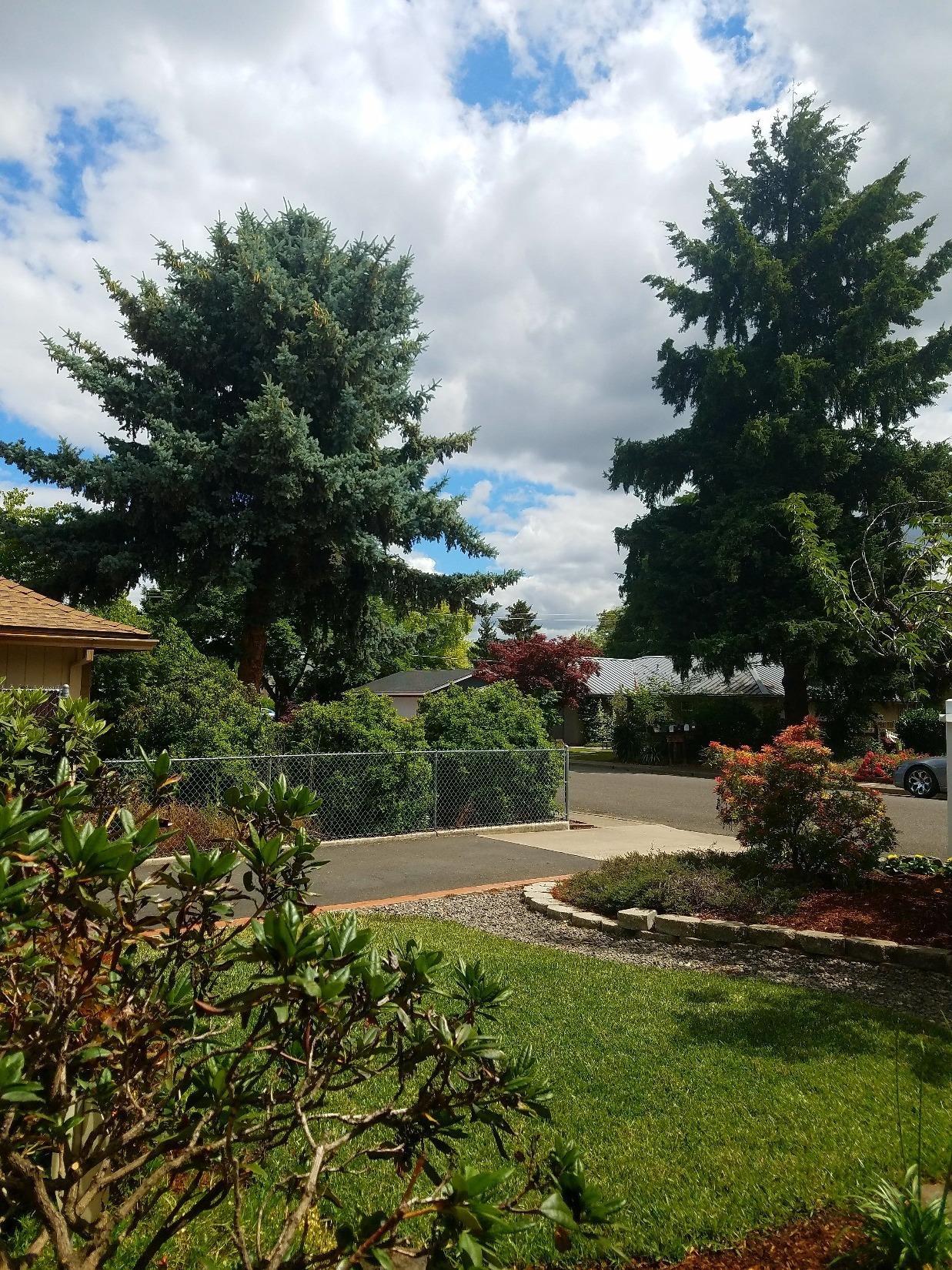 722 Sandra Lane Central Point, OR 97502 - Photo 26 of 35 Additional Photo