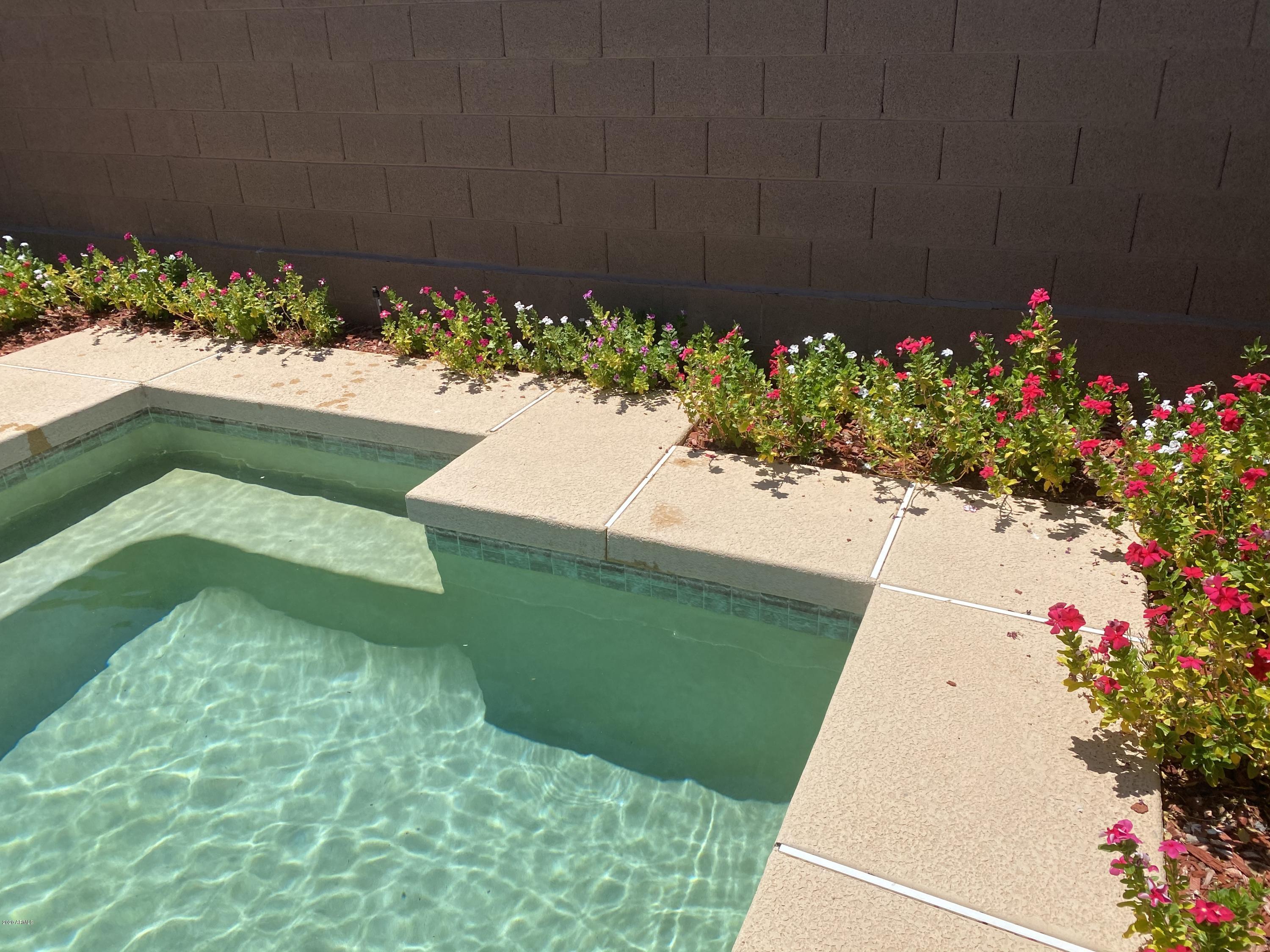 41712 North Crooked Stick Road Phoenix, AZ 85086 - Photo 54 of 58 IMG_1577