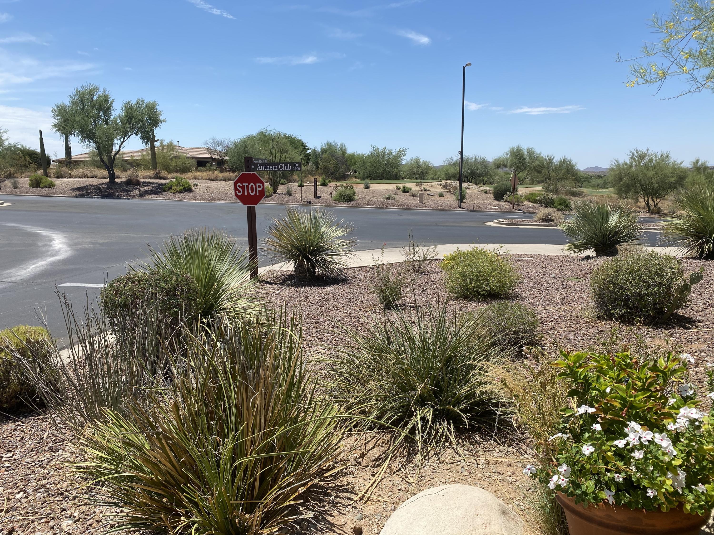 41712 North Crooked Stick Road Phoenix, AZ 85086 - Photo 10 of 58 IMG_1594