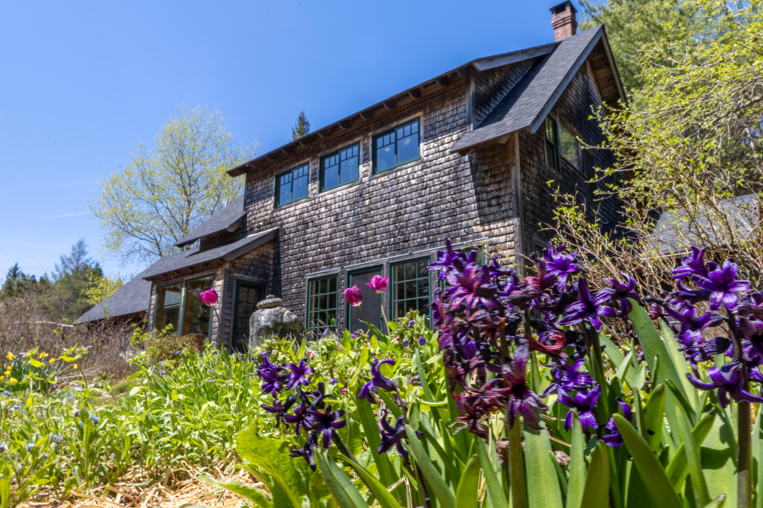 12 Bakers Point Road Steuben, ME 04680 - Photo 69 of 86 The beauty of hyacinths.