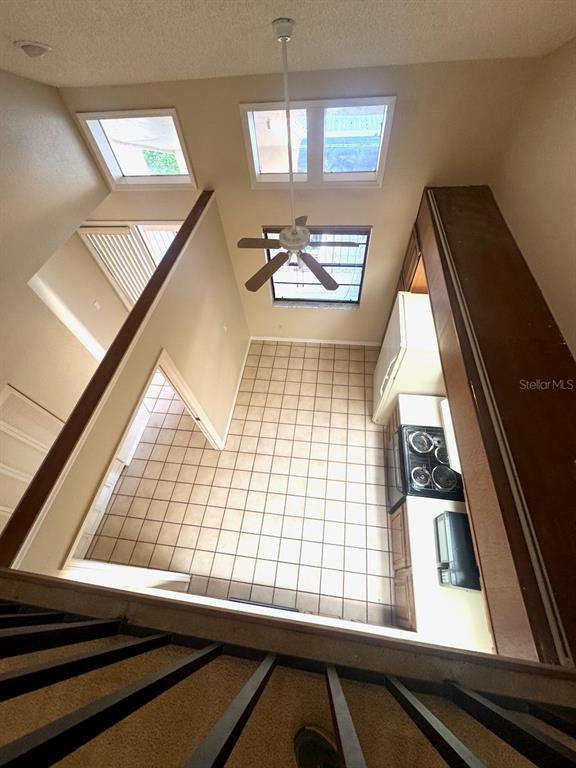 40 Austin Place Oldsmar, FL 34677 - Photo 20 of 26 a view of a window