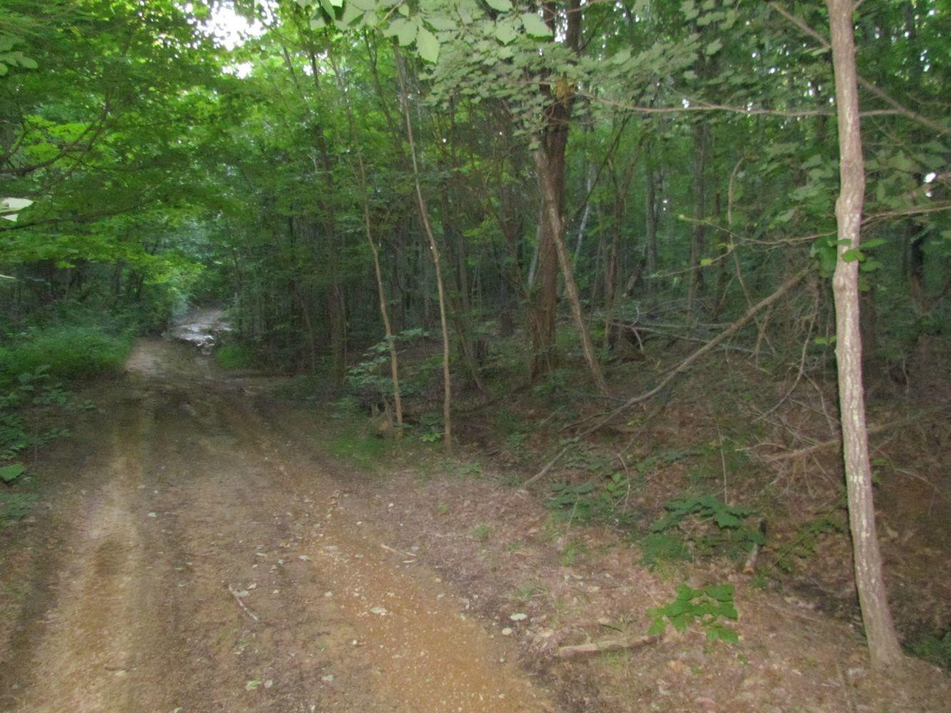 0 Buzzard Rock Road McKee, KY 40447 - Photo 6 of 15 Photo 6