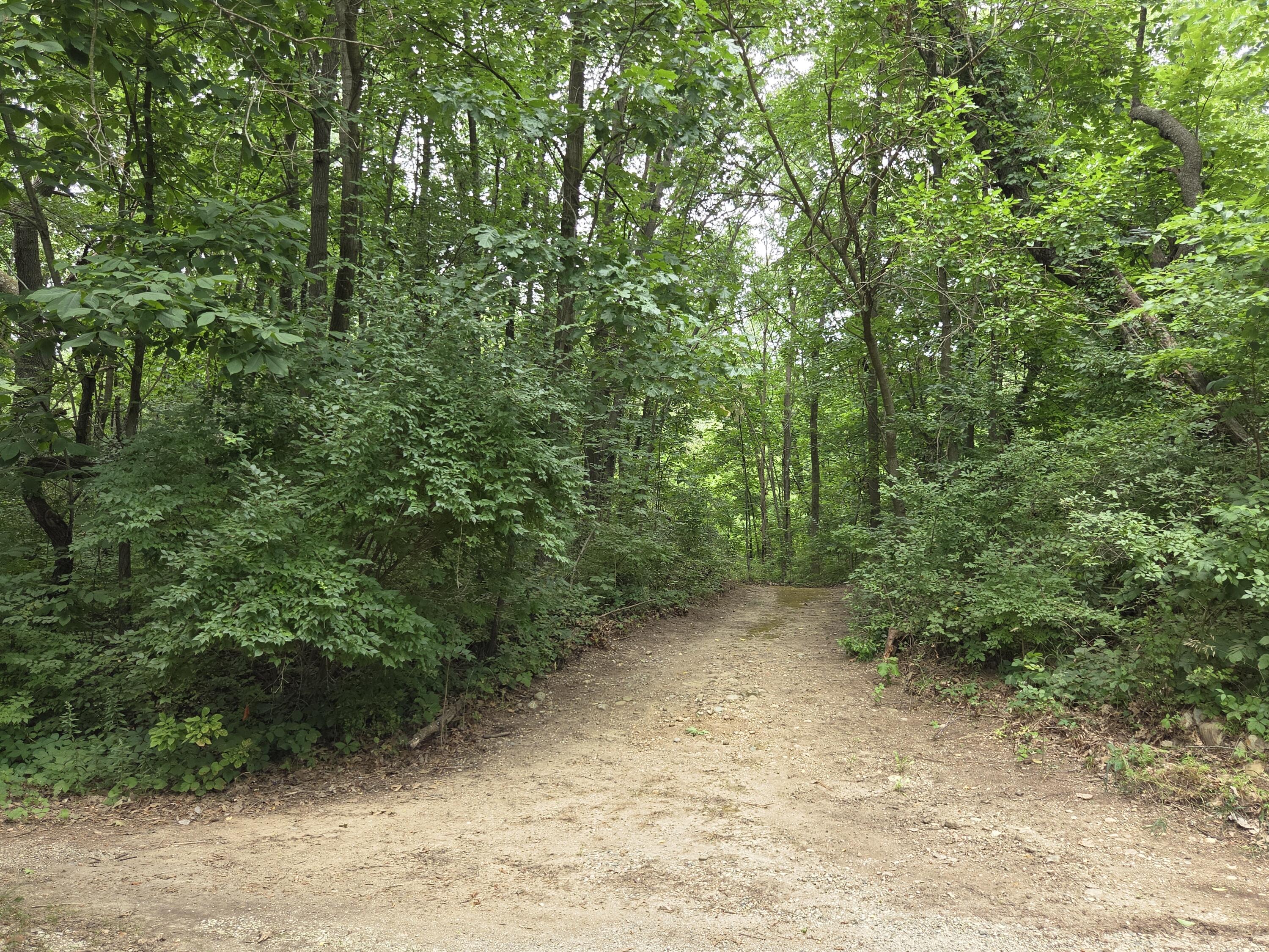 12884 Sharon Hollow Road Manchester, MI 48158 - Photo 43 of 55 20260727_141010