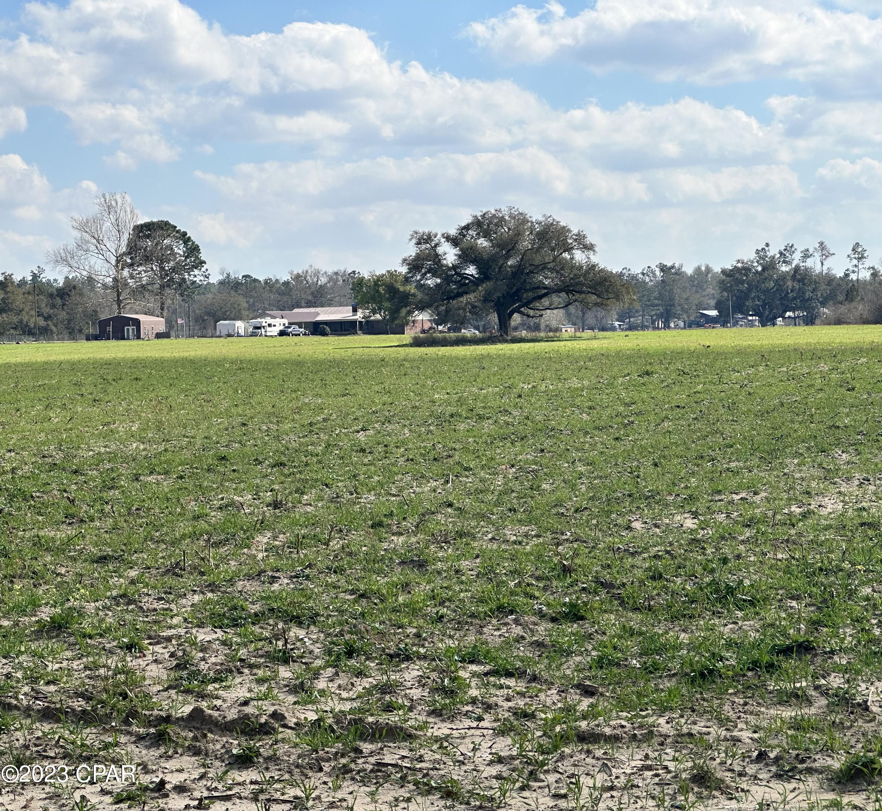 7336 Highway 90 Grand Ridge, FL 32442 - Photo 59 of 71 Gallery Image 59