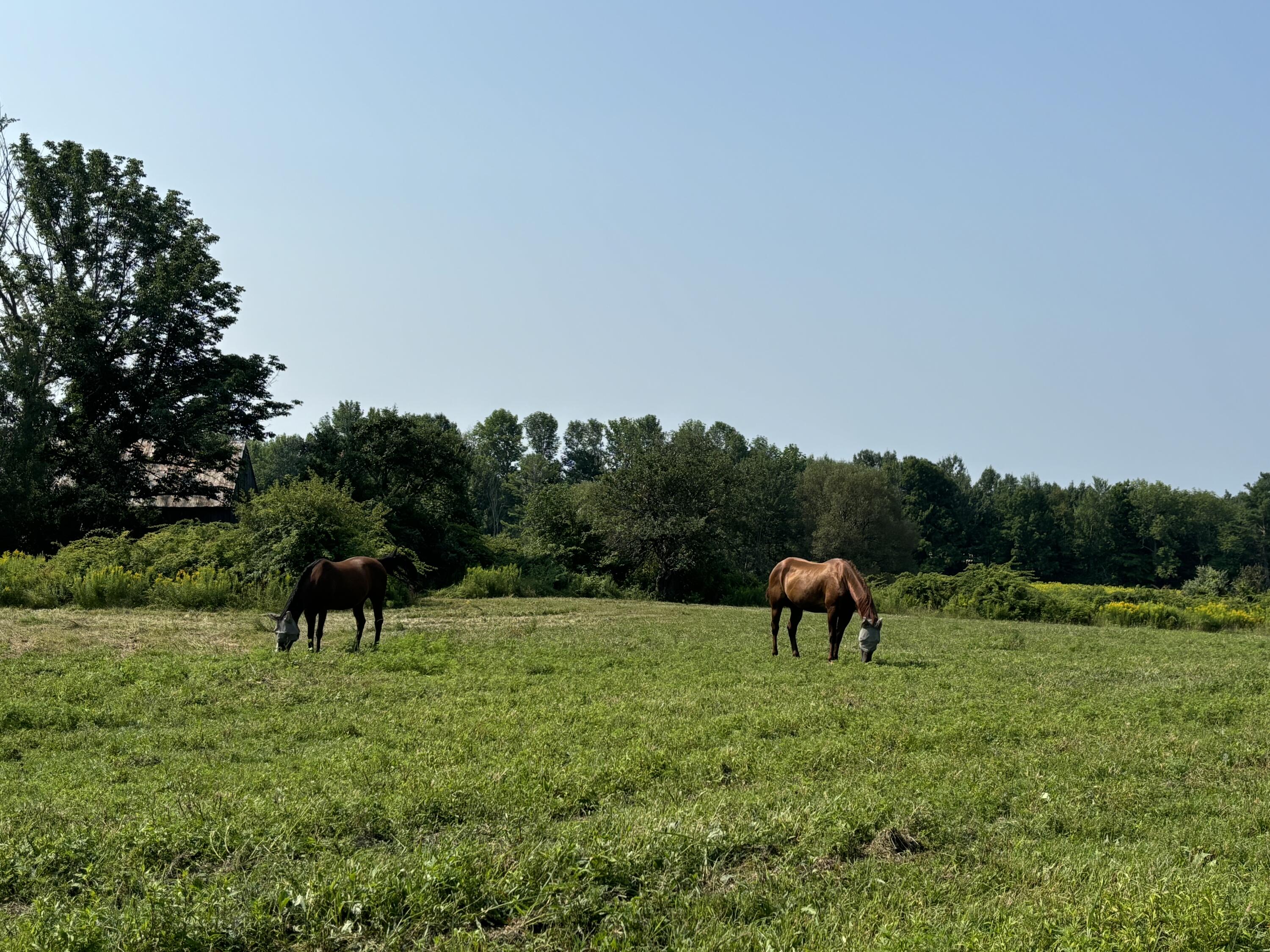 360 Church Road Readfield, ME 04355 - Photo 65 of 68 IMG_3979