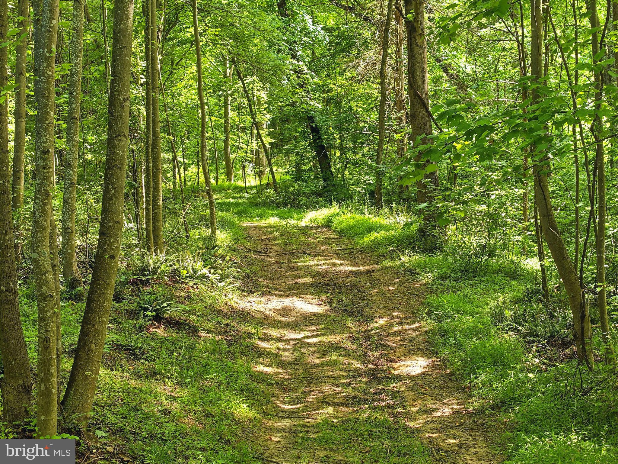 Jordan Hollow Road Stanley, VA 22851 - Photo 5 of 26 Trail around/across property