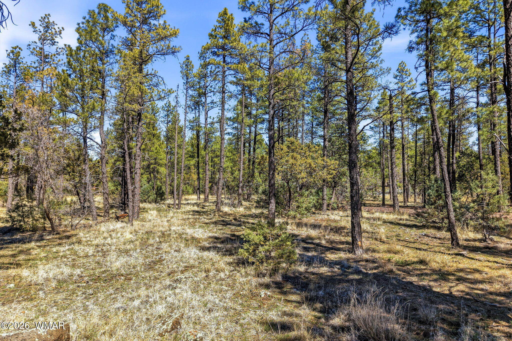 966 Flag Hollow Road Lakeside, AZ 85929 - Photo 14 of 22 966FlagHollowRd-ShowLow-AZ-21