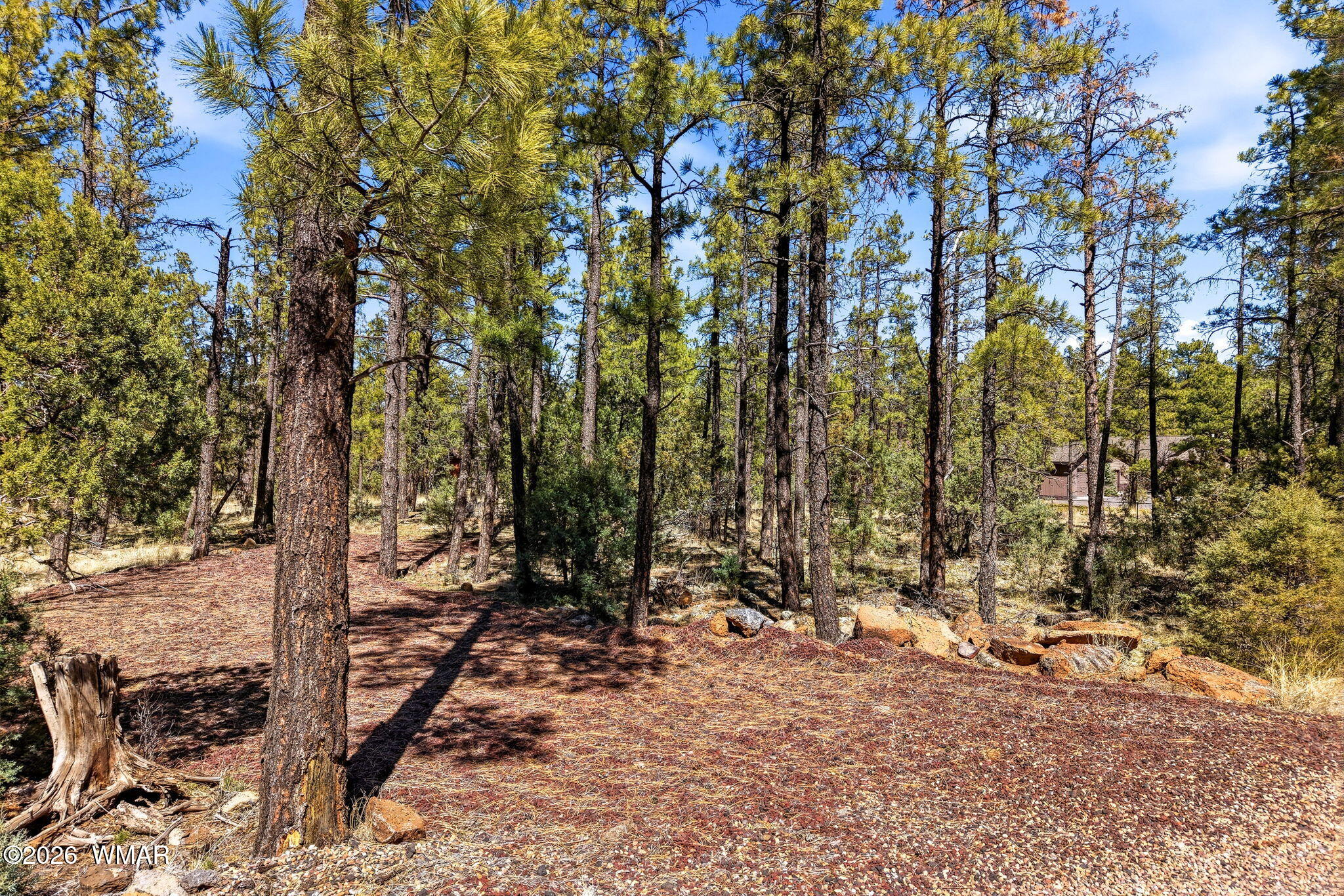 966 Flag Hollow Road Lakeside, AZ 85929 - Photo 15 of 22 966FlagHollowRd-ShowLow-AZ-20
