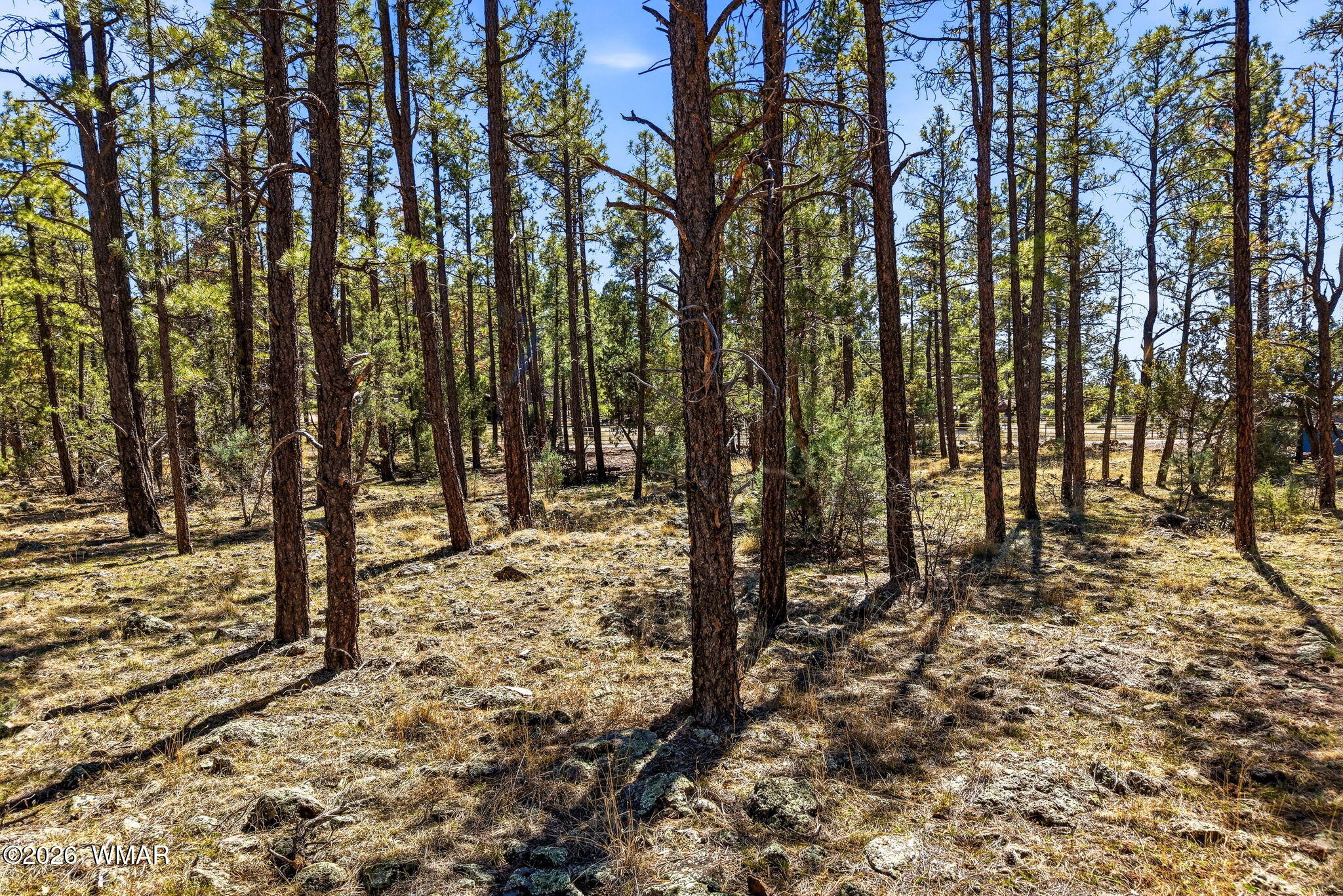966 Flag Hollow Road Lakeside, AZ 85929 - Photo 16 of 22 966FlagHollowRd-ShowLow-AZ-19
