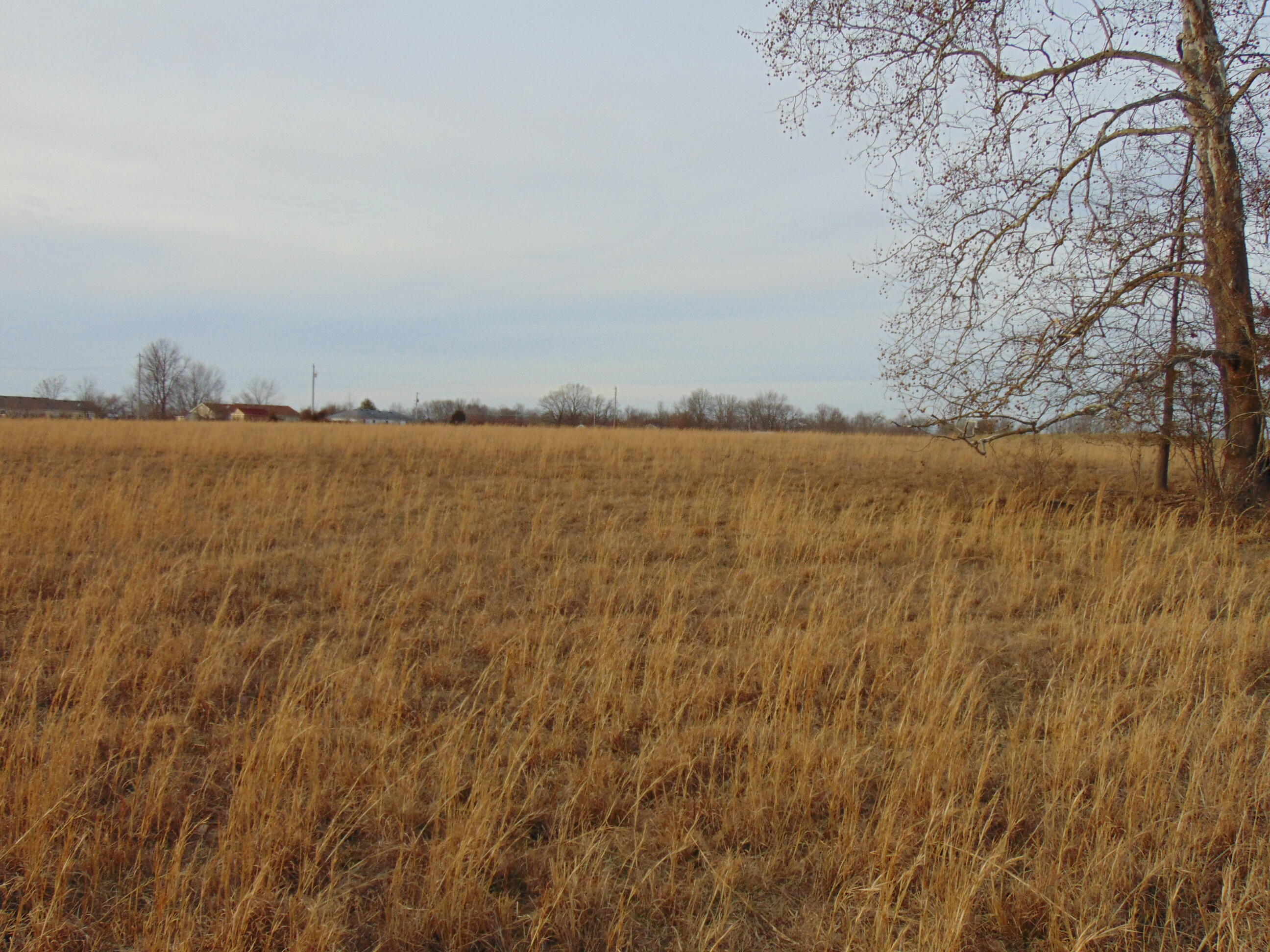 0 Charlie Norris Road Richmond, KY 40475 - Photo 2 of 15 DSC01335