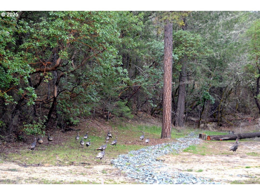 2957 Sylvan Drive Grants Pass, OR 97527 - Photo 29 of 29