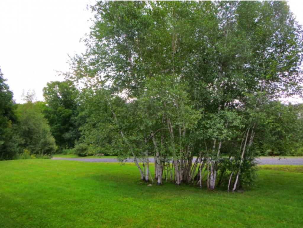 18 Burchard Road West Dover, VT 05356 - Photo 24 of 24
