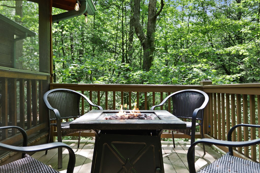 189 Cherry Lake Drive Blue Ridge, GA 30513 - Photo 20 of 50 Gallery Image 20