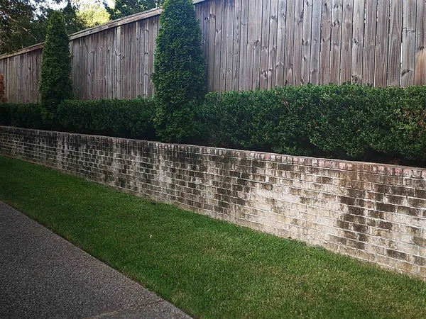 a view of a yard of the house