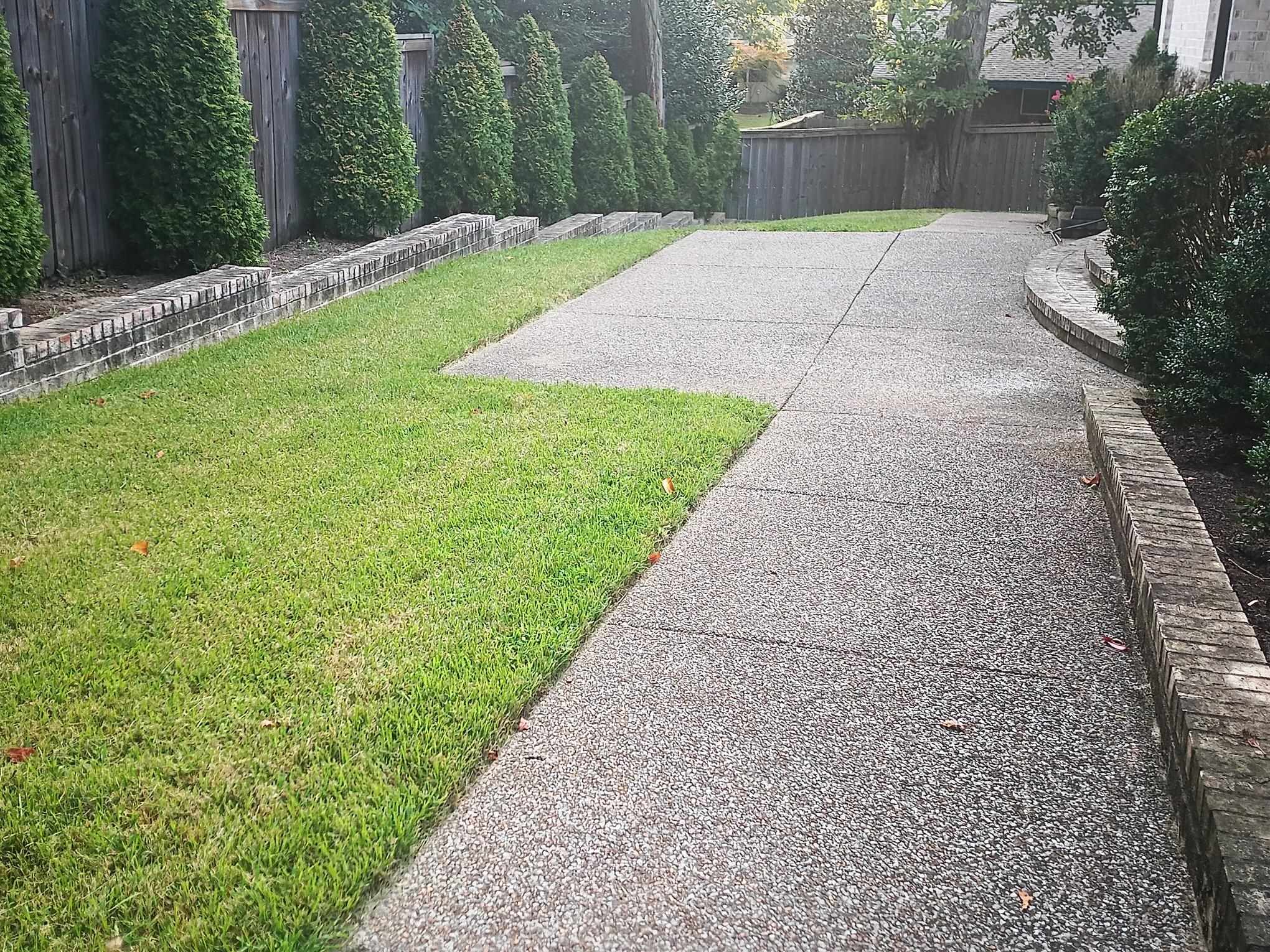 5690 Walnut Grove Road Memphis, TN 38120 - Photo 37 of 40 a view of backyard with green space