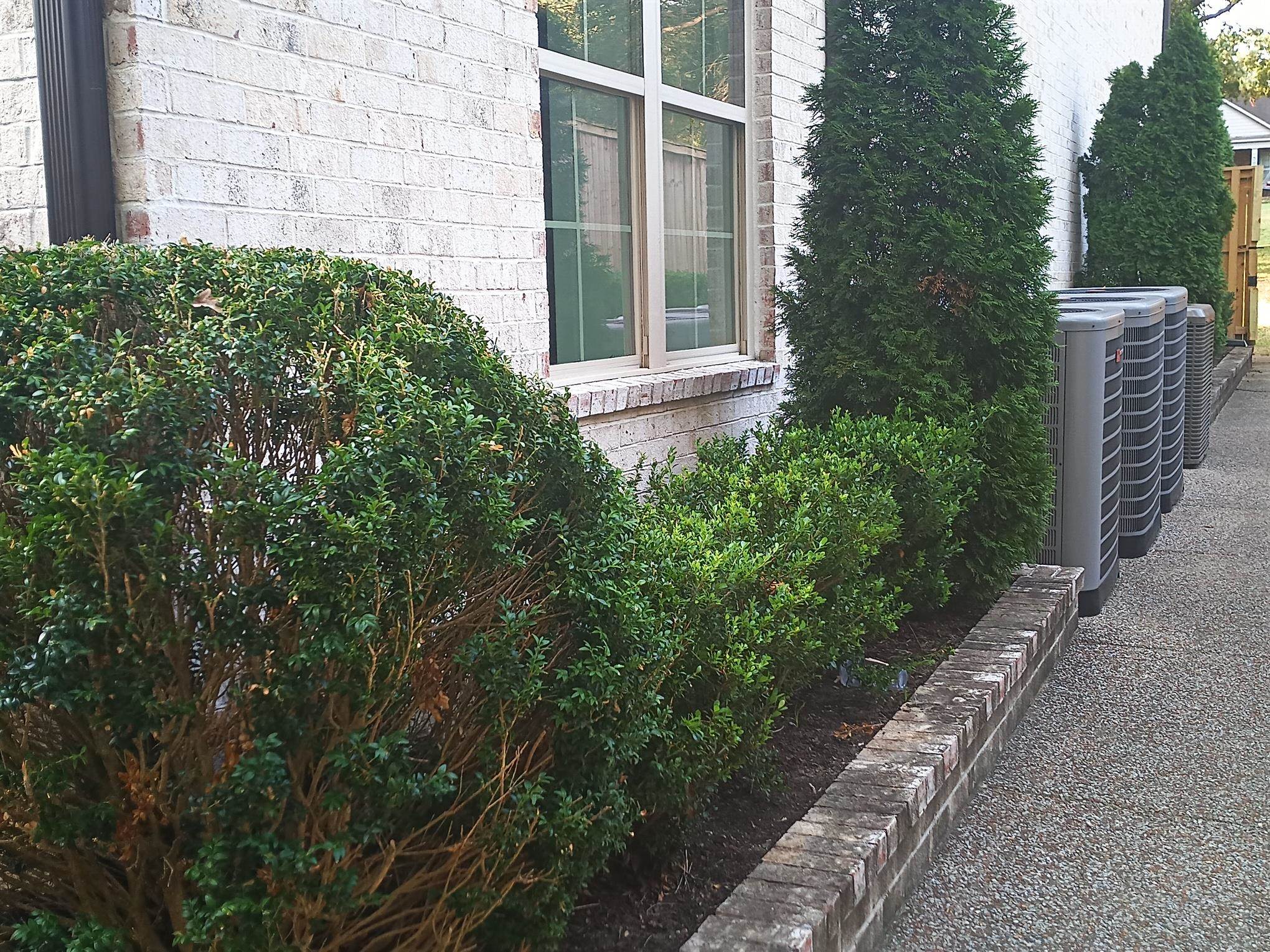 5690 Walnut Grove Road Memphis, TN 38120 - Photo 8 of 40