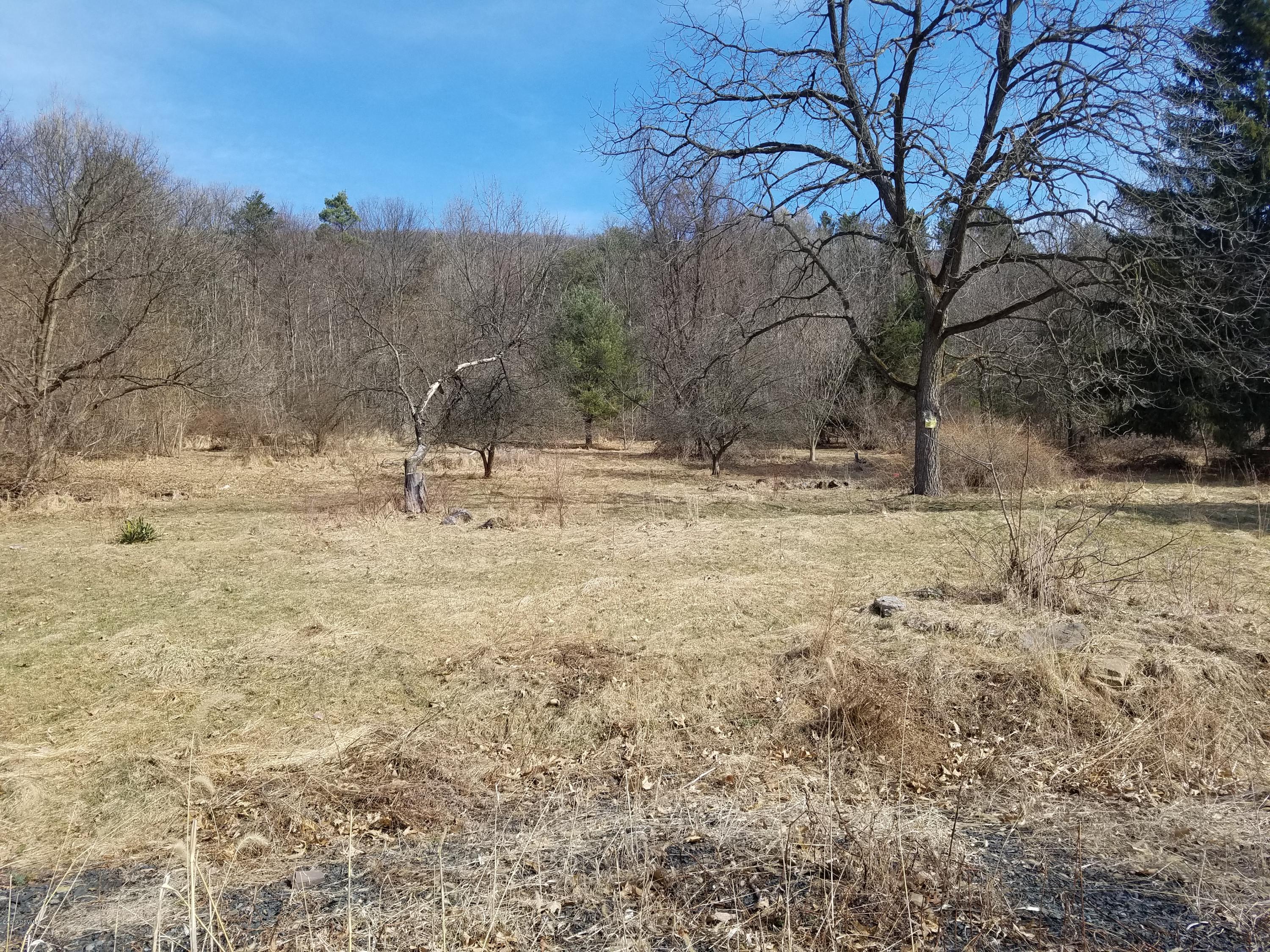 669 Knob Mountain Road Shickshinny, PA 18655 - Photo 2 of 4 Gallery Image 2