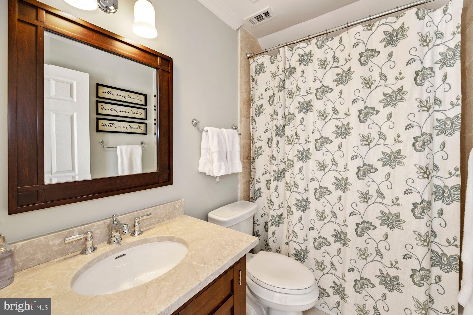 11408 Hollow Timber Way Reston, VA 20194 - Photo 33 of 71 Upper-Level Hall Bath