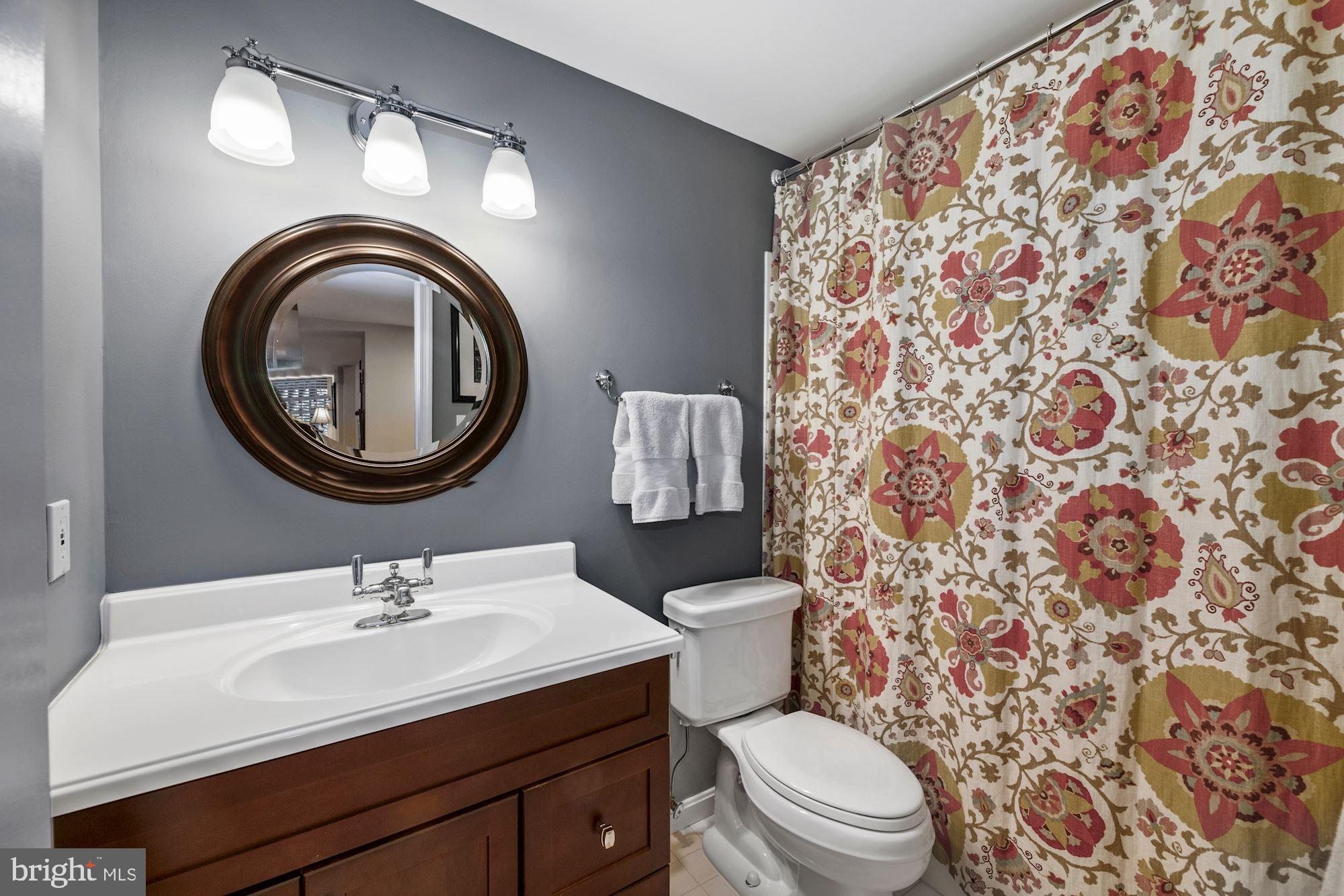 11408 Hollow Timber Way Reston, VA 20194 - Photo 40 of 71 LL Full Bath