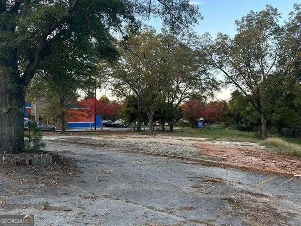 a view of a yard with a large tree