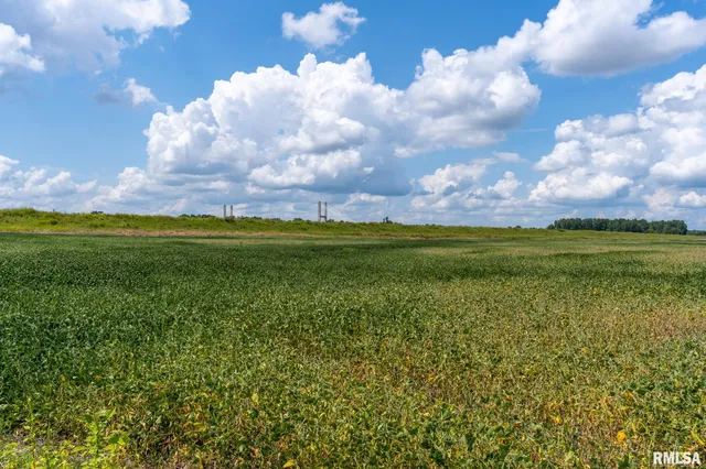 $1,155,000 | 2 Highway 146, McClure, IL 62957