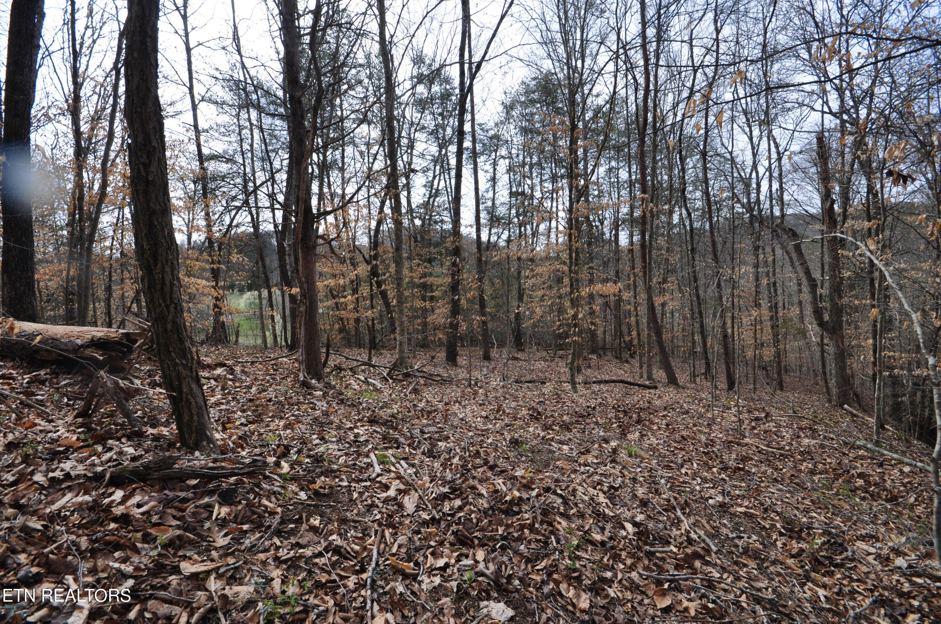 10 02-acre Old Tazewell Pike