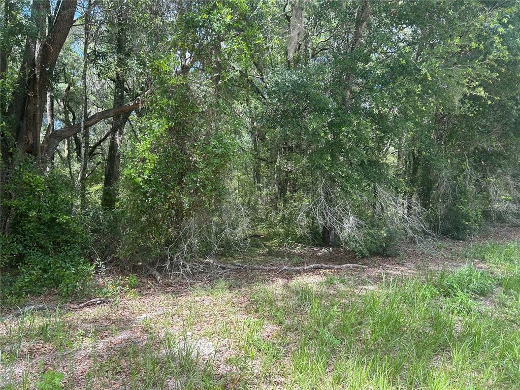 111 Southwest Sw Lane Dunnellon, FL 34432 - Photo 2 of 6