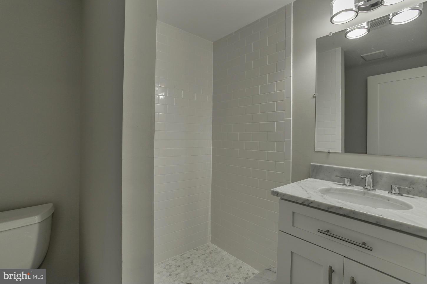 1447 Rittenhouse Street Northwest Washington, DC 20011 - Photo 27 of 30 Bath