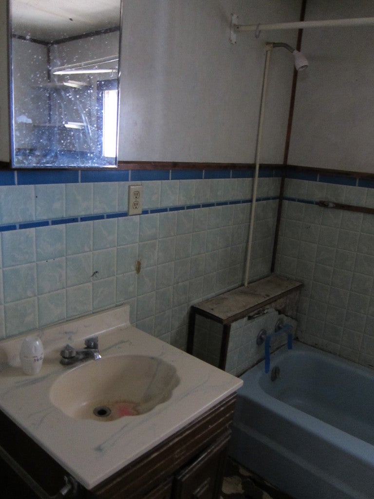 179 Orchard Road Ballard, WV 24918 - Photo 24 of 34 Bathroom #2