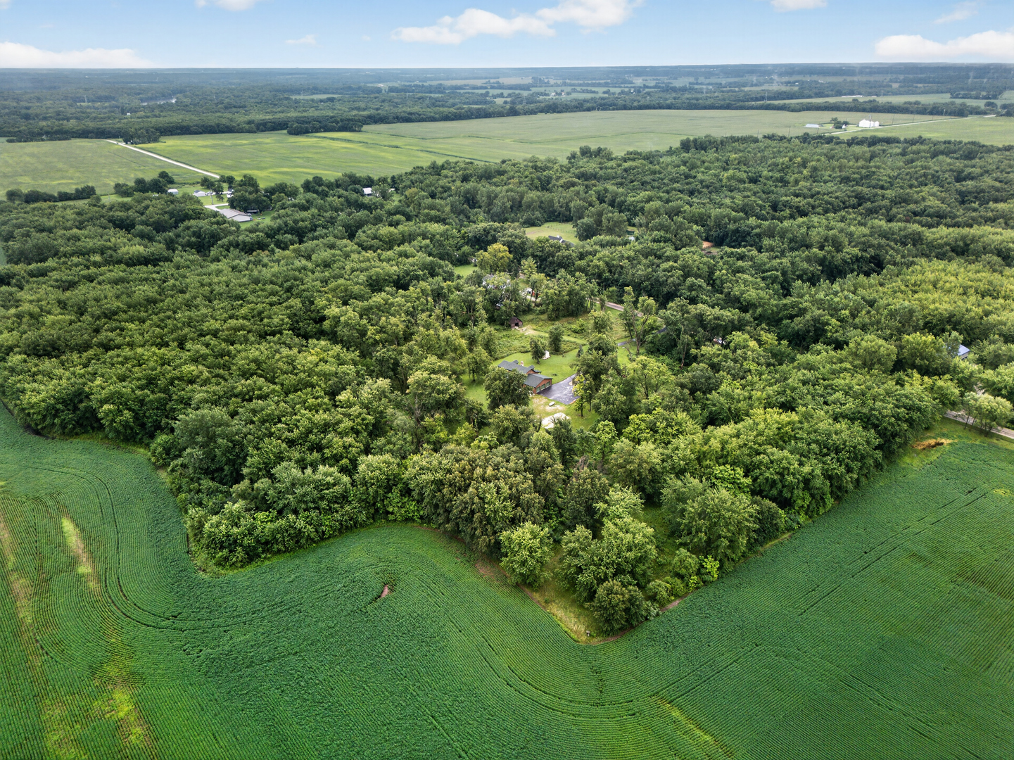 22626 Smiley Road Custer Park, IL 60481 - Photo 22 of 63 Gallery Image 22