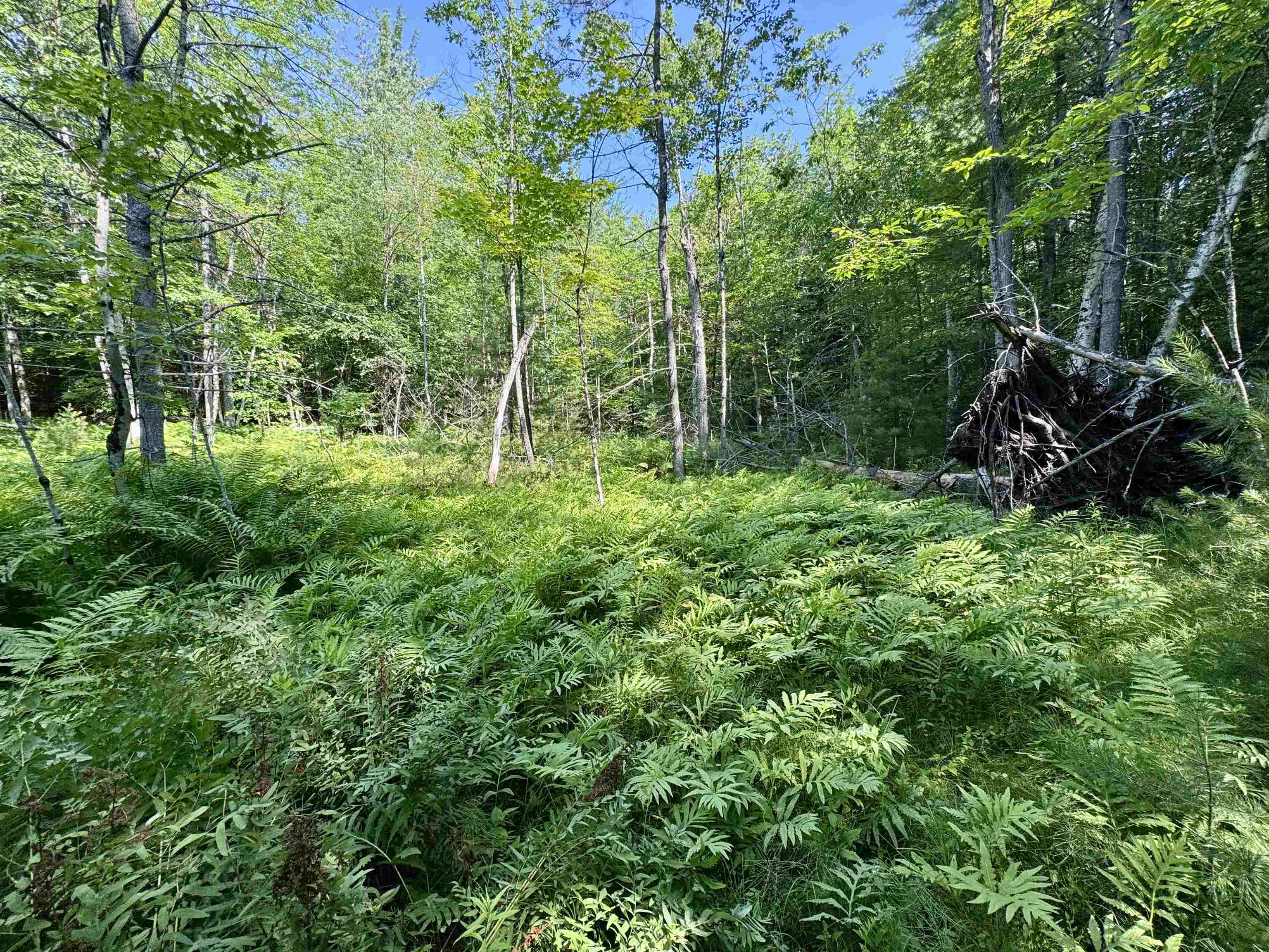 0 Mountain Road Bath, NH 03740 - Photo 8 of 10
