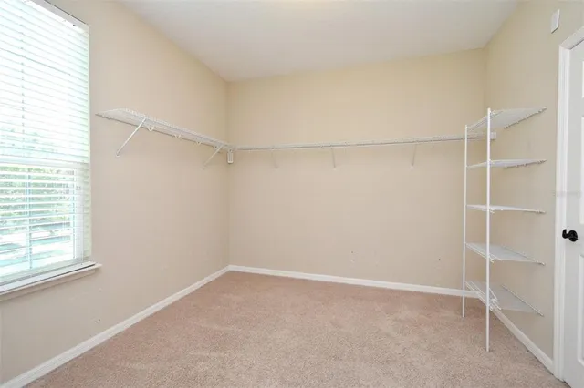 an empty room with a ceiling fan and carpet