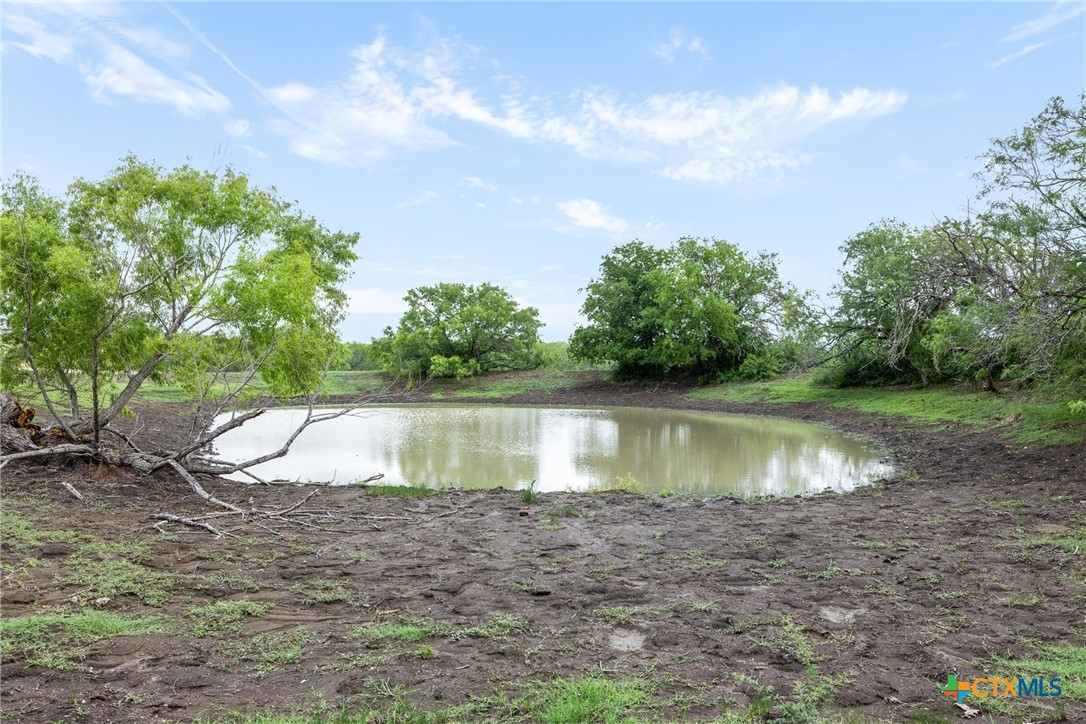 1190 Dickerson Road Lockhart, TX 78644 - Photo 22 of 40