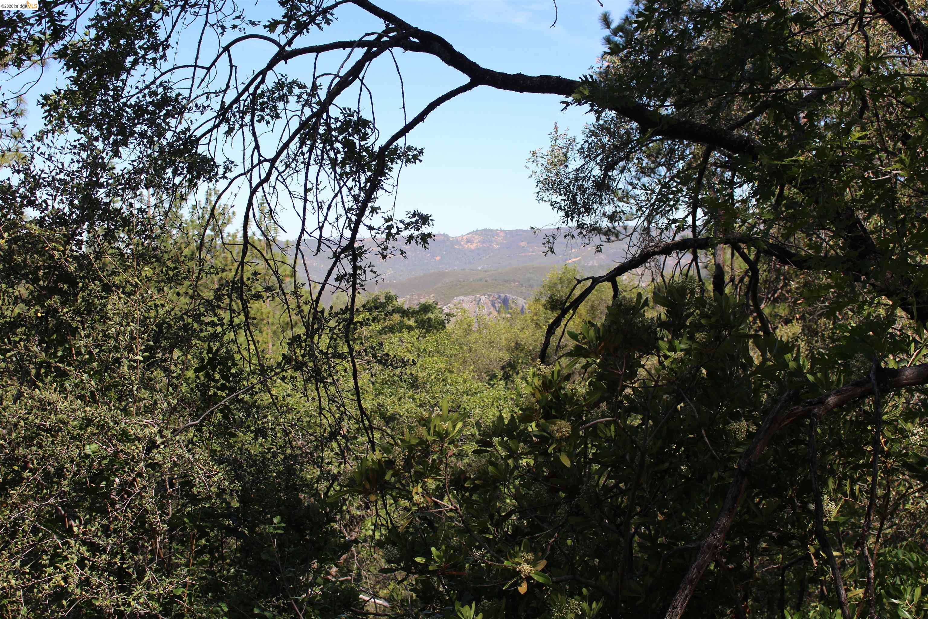 12000 Cattle Drive Trail Columbia, CA 95310 - Photo 15 of 24