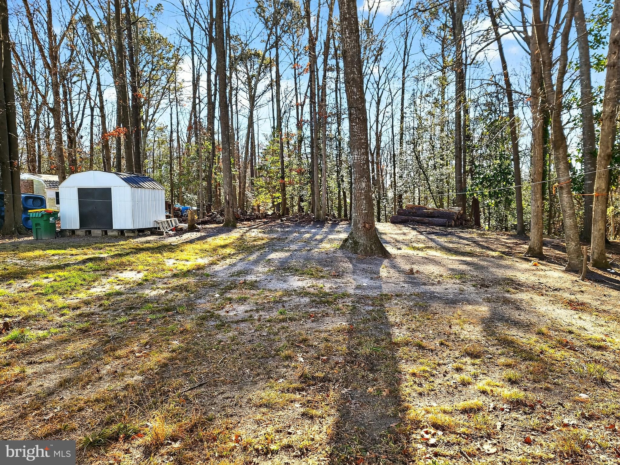 232 Morris Drive Salisbury, MD 21804 - Photo 30 of 36 a view of a house with backyard and trees