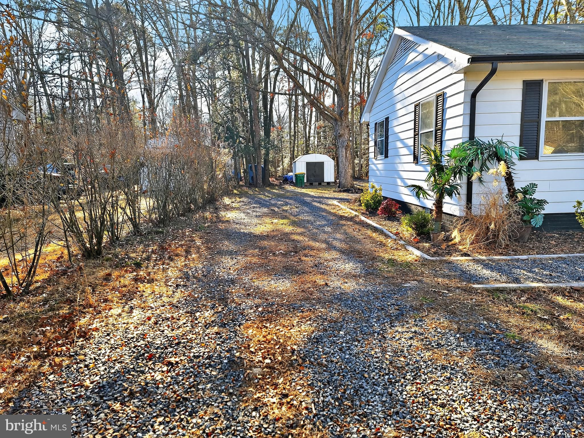 232 Morris Drive Salisbury, MD 21804 - Photo 34 of 36 a view of a yard with a house and a tree