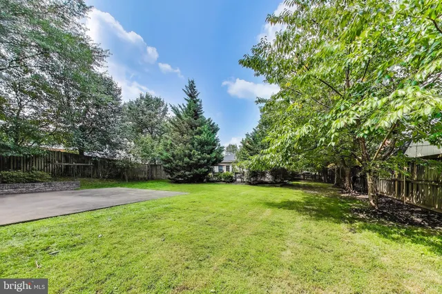 a view of a park with large trees