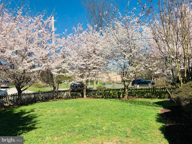 a view of yard and fountain and flowers in front of it
