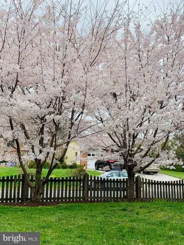 $969,900 | 6703 Hallwood Avenue, Falls Church, VA 22046