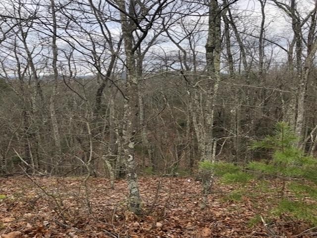 42 Harvest Moon Road Sevierville, TN 37862 - Photo 3 of 5 Gallery Image 3